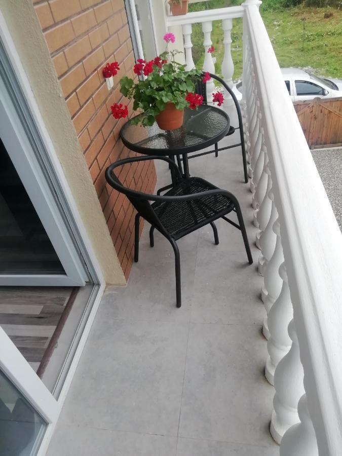 Villa Mate & Villa Luka Ureki Εξωτερικό φωτογραφία